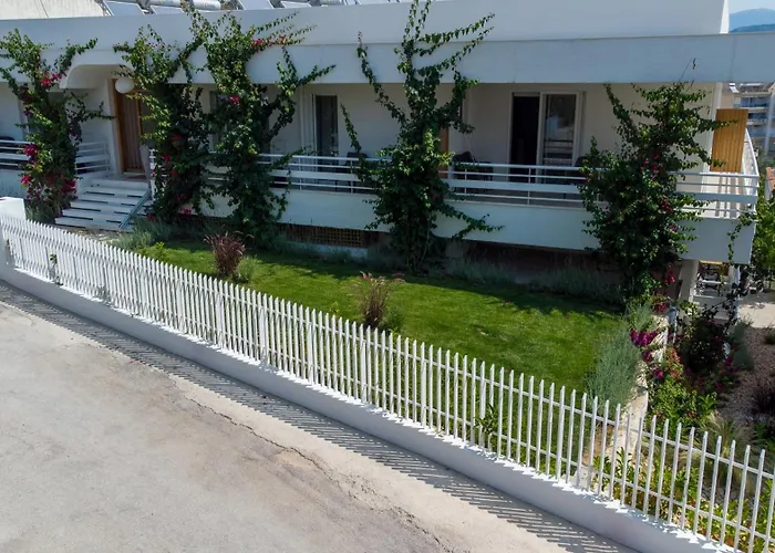 Arancia Elegant And Τολό